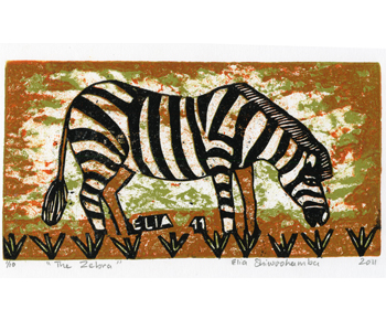 The Zebra